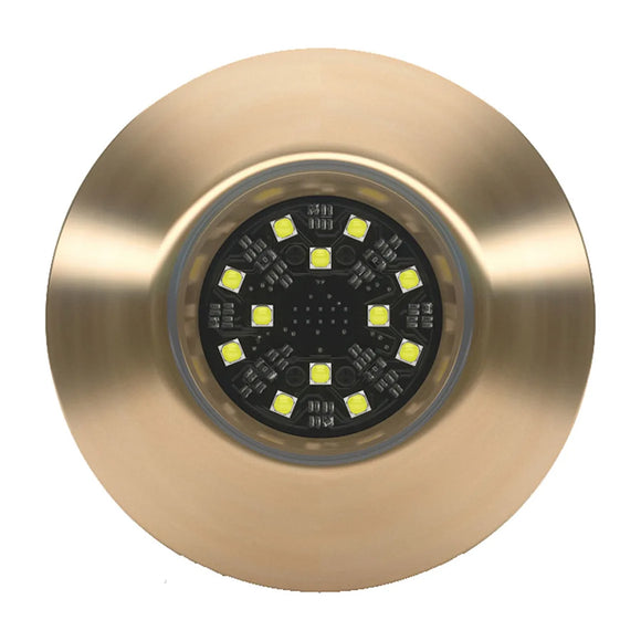 Lumishore ORA TIX404 White Interchangeable Thru-Hull [010-04467-00]