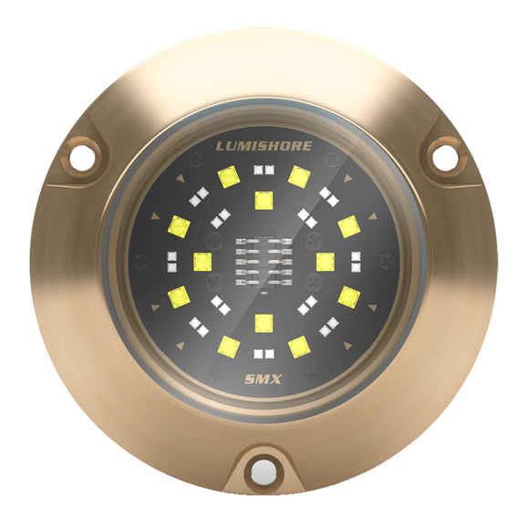 Lumishore ECLIPSE SMX54 Single Surface Mount Underwater - Light Blue/White [010-04505-00]