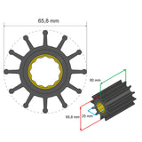 Albin Group Premium Impeller Kit 65.8 x 25 x 80mm - 12 Blade - Spline Insert [06-01-020]