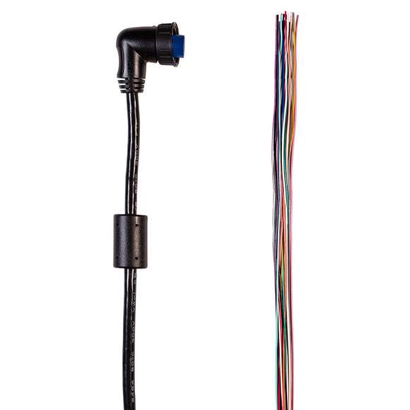 Garmin OnDeck In/Out Data Cable (19-Pin) - Sensor/Relay Output [010-13009-04]
